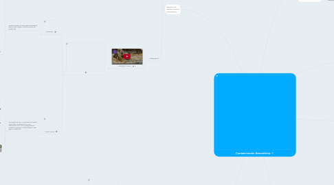 Mind Map: Contaminación Atmosférica
