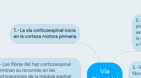 Mind Map: Vía Piramidal