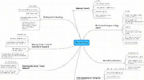 Narrative Essay (Example)