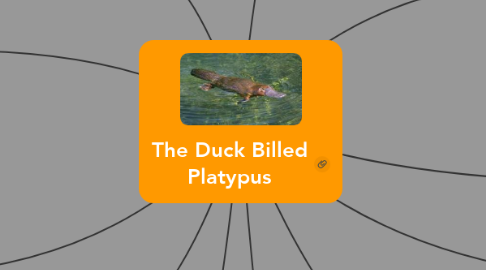 Mind Map: The Duck Billed Platypus