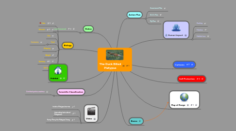 Mind Map: The Duck Billed Platypus