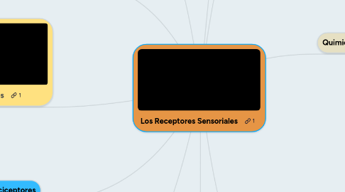 Mind Map: Los Receptores Sensoriales