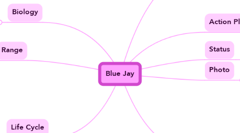 Mind Map: Blue Jay