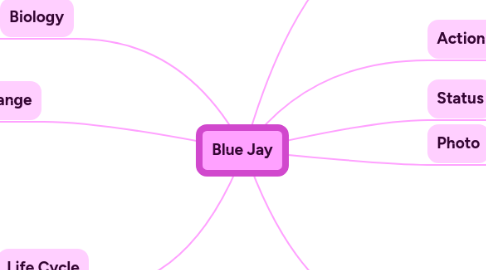 Mind Map: Blue Jay