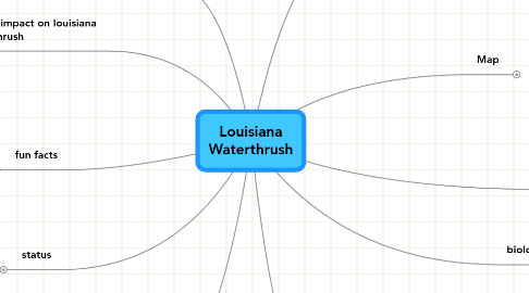 Mind Map: Louisiana Waterthrush