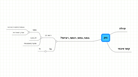 Mind Map: נזק