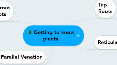 Mind Map: Getting to know plants