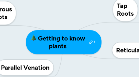 Mind Map: Getting to know plants