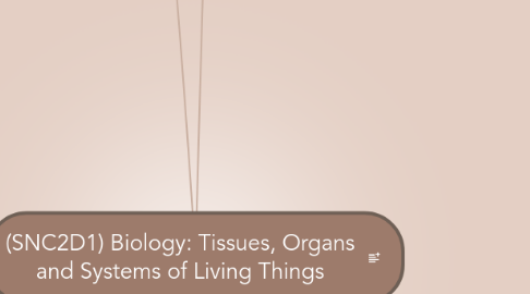 Mind Map: (SNC2D1) Biology: Tissues, Organs and Systems of Living Things