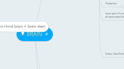 Mind Map: BRAIN