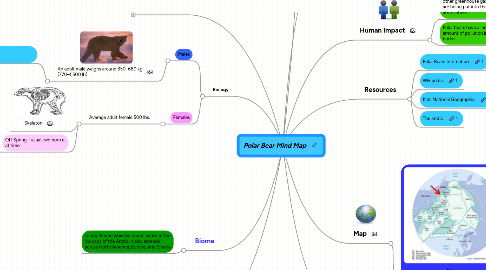 Mind Map: Polar Bear Mind Map