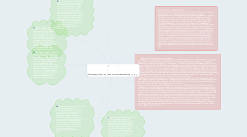 Mind Map: Maatschappelijk werker 'Inge Kremer' in de informatiesamenleving.