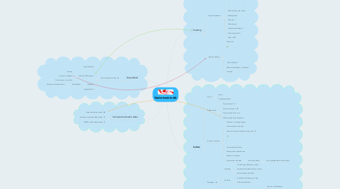 Mind Map: Nederlands-Indië