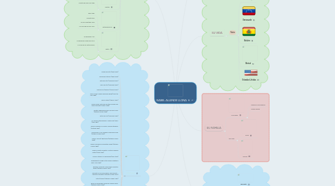 Mind Map: ISABEL ALLENDE LLONA