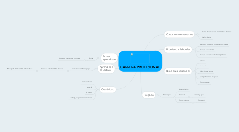 Mind Map: CARRERA PROFESIONAL