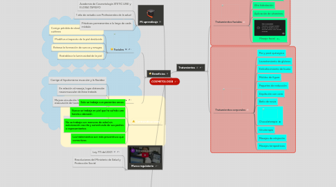 Mind Map: COSMETOLOGÍA