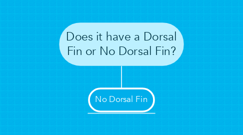 Mind Map: Does it have a Dorsal Fin or No Dorsal Fin?