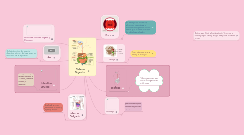 Mind Map: Sistema Digestivo