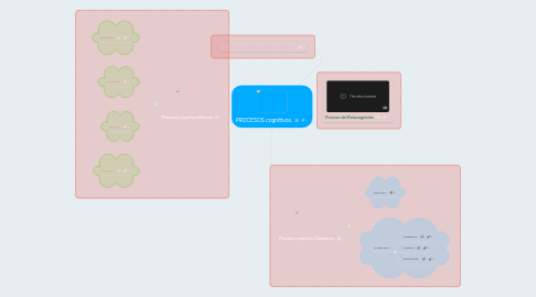 Mind Map: PROCESOS cognitivos.