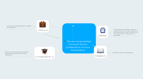 Mind Map: Proceso de aprendizaje: Formación técnico profesional en servicios farmaceúticos