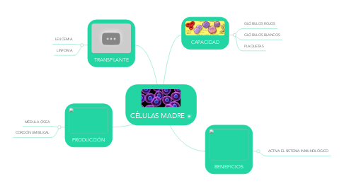 Mind Map: CÉLULAS MADRE