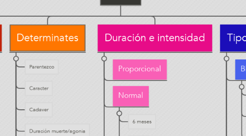 Mind Map: Duelo