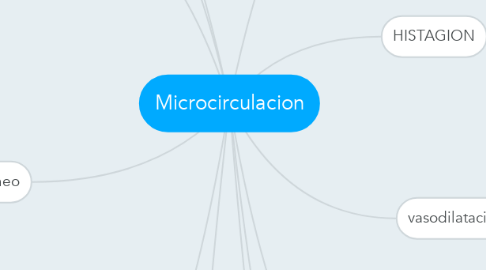 Mind Map: Microcirculacion