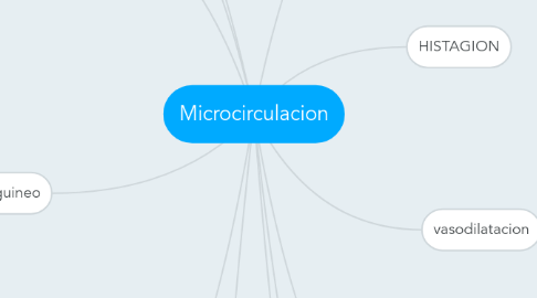 Mind Map: Microcirculacion