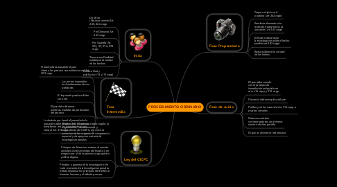 Mind Map: PROCEDIMIENTO ORDINARIO