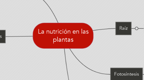 Mind Map: La nutrición en las plantas
