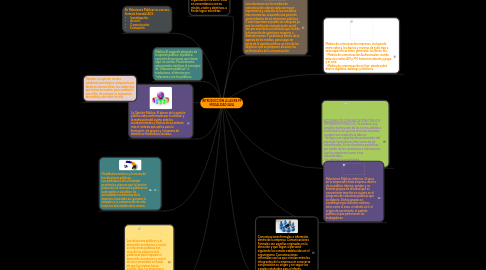 Mind Map: INTRODUCCIÓN A LAS RR.PP MODALIDAD SAIA