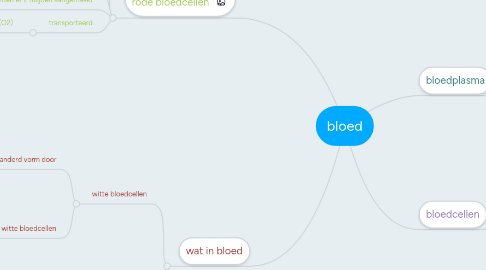 Mind Map: bloed