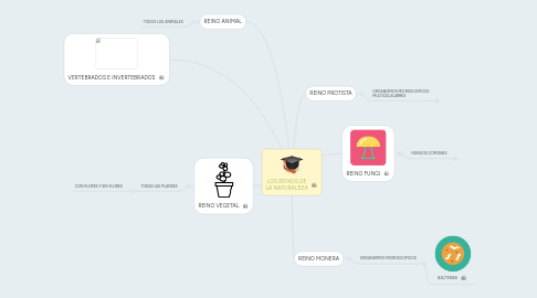 Mind Map: LOS REINOS DE LA NATURALEZA