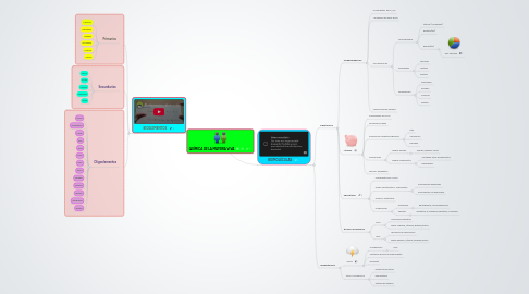 Mind Map: QUÍMICA DE LA MATERIA VIVA