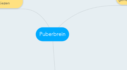 Mind Map: Puberbrein