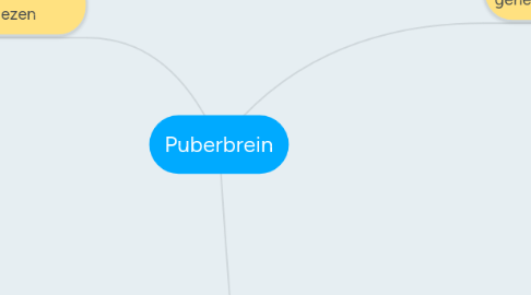 Mind Map: Puberbrein