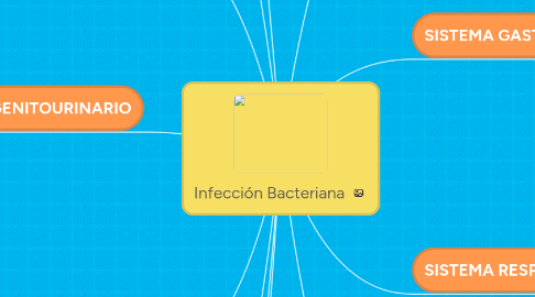 Mind Map: Infección Bacteriana