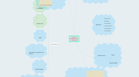 Mind Map: La Nube en Organizaciones y Empresas