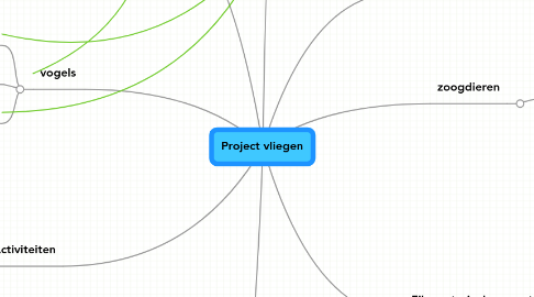 Mind Map: Project vliegen