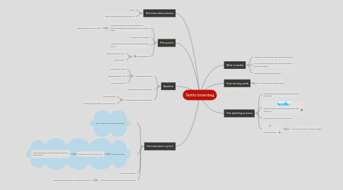 Mind Map: Testlio brownbag