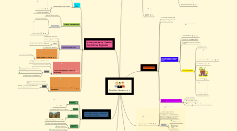 Mind Map: Derechos Humanos