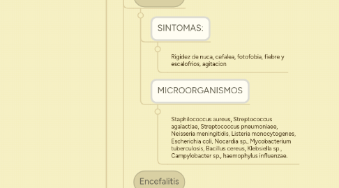 Mind Map: MIGUEL ALEJANDRO NICOLAU CORDON 200131893 IVY MARIAM CAMPOSECO CHANG 200131897