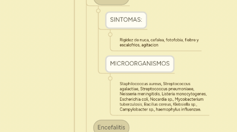 Mind Map: MIGUEL ALEJANDRO NICOLAU      CORDON 200131893               IVY MARIAM CAMPOSECO CHANG 200131897