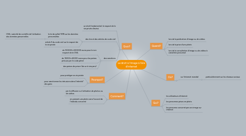 Mind Map: Le droit à l'image à l'ère d'internet