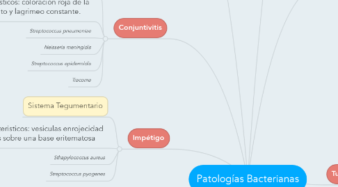 Mind Map: Patologías Bacterianas