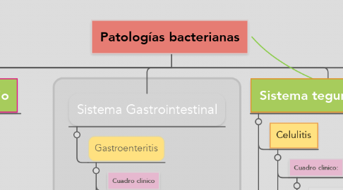 Mind Map: Patologías bacterianas