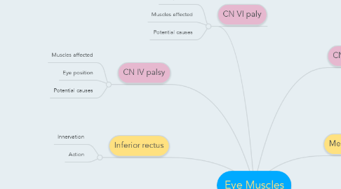 Mind Map: Eye Muscles