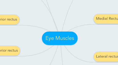 Mind Map: Eye Muscles