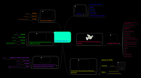 Mind Map: Los Derechos Humanos