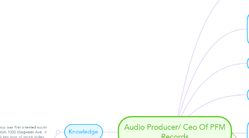 Mind Map: Audio Producer/ Ceo Of PFM Records